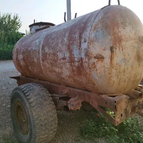 Suw bojka