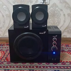 Kalonka bass bocka