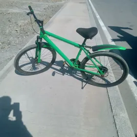Turkmenistan tigir