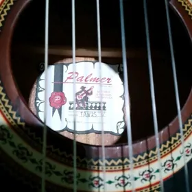 Palmer Gitara