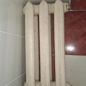 Ýyly batareýa