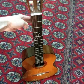 gitara