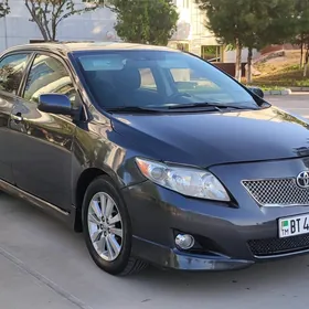 Toyota Corolla 2010