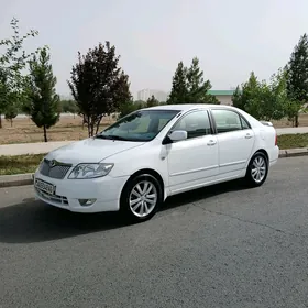 woditel safyor