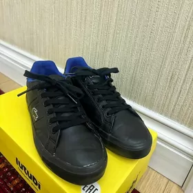 Lacoste krasowka oglan