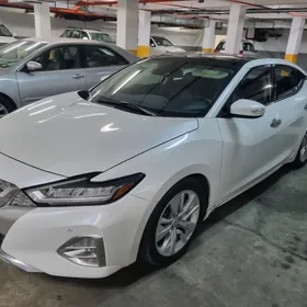 Nissan Maxima 2020