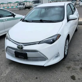 Toyota Corolla 2019