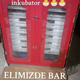 Инкубатор inkubatr towuk induk