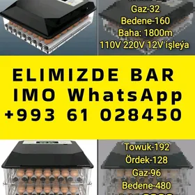 ZAKAZA INKUBATOR TOWUK HORAZ