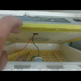 инкубатор