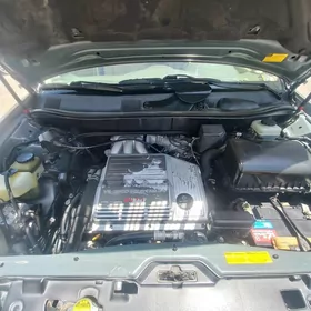 Lexus RX 300 2002