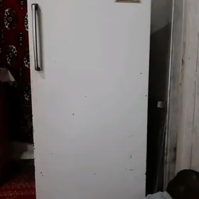 holadinik