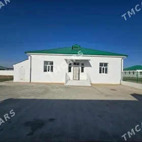 Körçay, korcay, kor cay