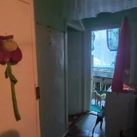 квартира