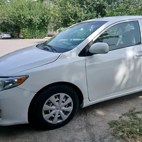 Toyota Corolla 2009