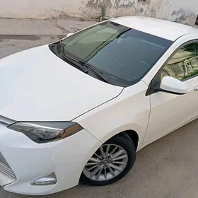 Toyota Corolla 2019