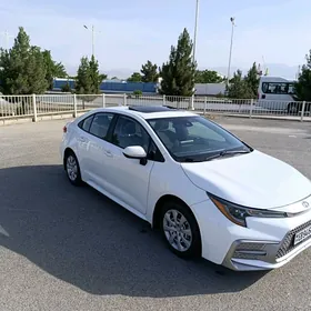 Toyota Corolla 2020