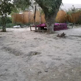 sekiz yap daca