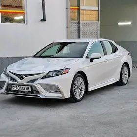 Toyota Camry 2020