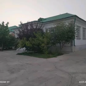 Taze zaman 2nji 3 kom