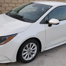 Toyota Corolla 2020