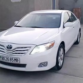 Toyota Camry 2010