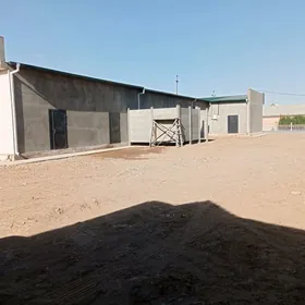 Arenda sklad ammar склад