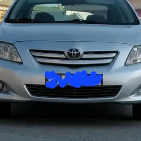 Carolla Le fara 08 10