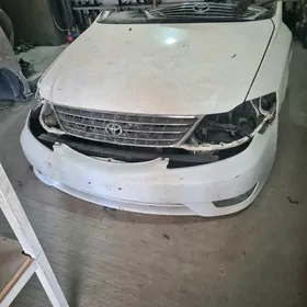awolonyñ mordasy