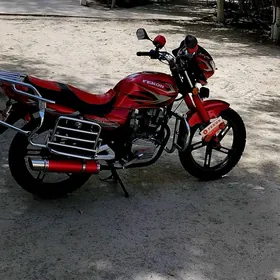 Fekon FK150-8G 2014
