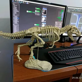 decor dinozawr