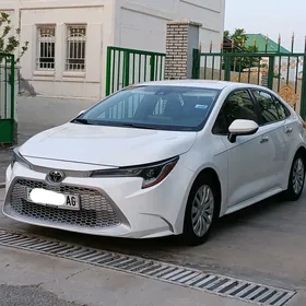 Toyota Corolla 2021