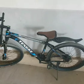 tengke spartiwni 29