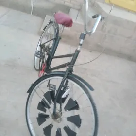27yaponusgy