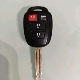 palta camry acar