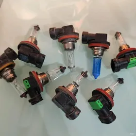 h11 halogen lampalar