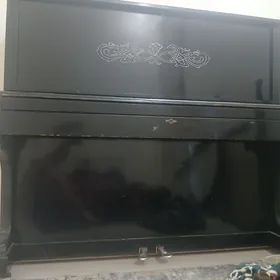 fortepiano