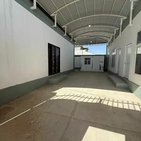 Arenda coganly plan