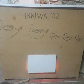 inkiwator juje cykaryan