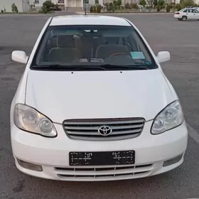 Toyota Corolla 2008
