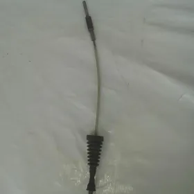 Babyçgañ trosy