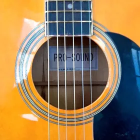 Akustuka gitara