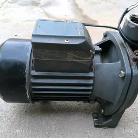 Nasos Shimge 146