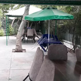 KAFE  ŞAŞLIŞNIK  GEREG