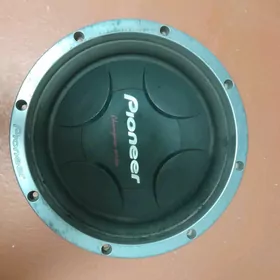 pioner bocka arginal