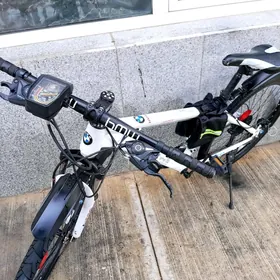 BMW TIGIR