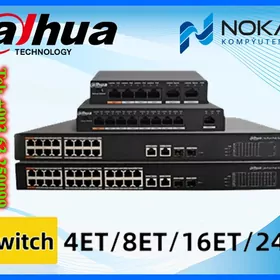 Dahua Poe switch megabit 4/8/16/24 port