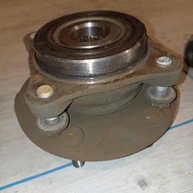 Stupitsa Prado 120