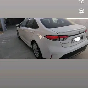 Toyota Corolla 2020