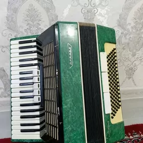 Akkardion